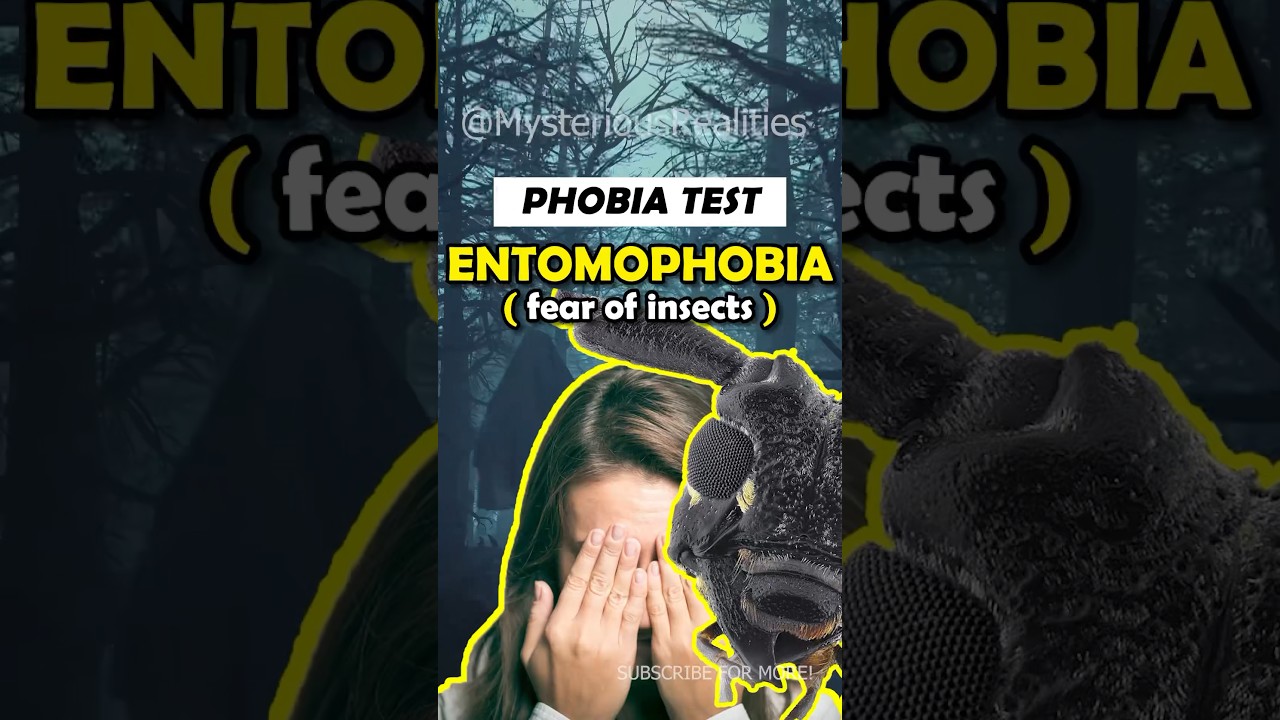 ENTOMOPHOBIA: DO YOU HAVE IT? 