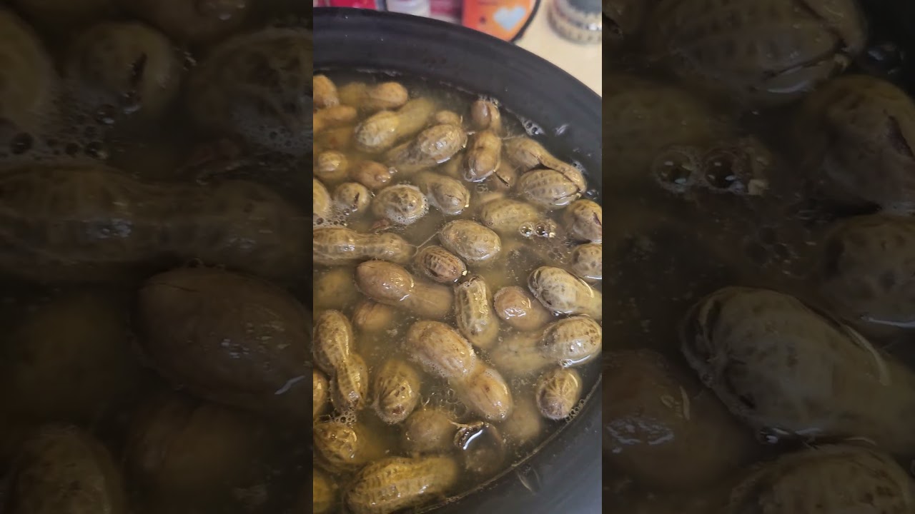 Green Peanuts Boiled with Smoked neckbones in a crockpot