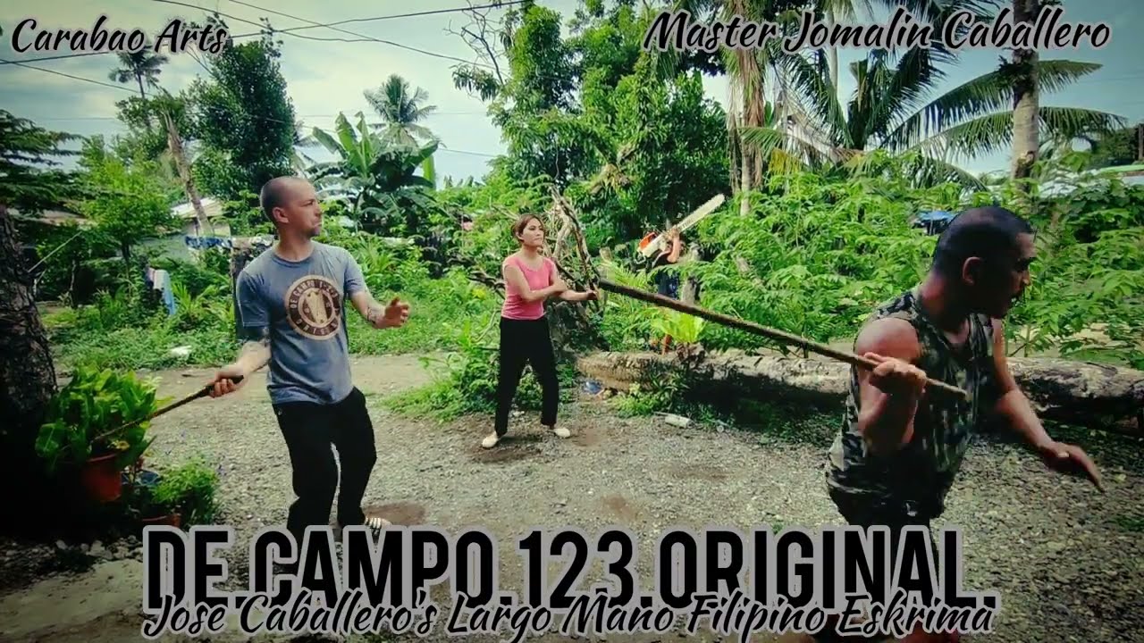 De Campo 123 Original - Combos with Master Jomalin Caballero in Toledo City @carabaoarts 681