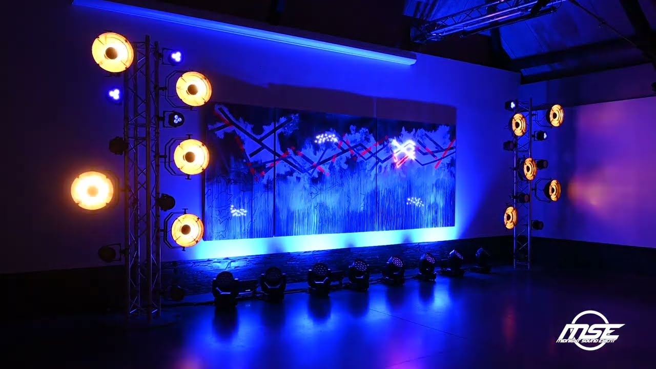 Show laser Vernissage Denis Stracquadanio Février 2022 Trelazé