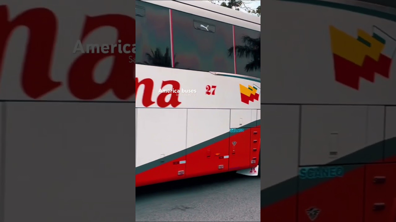 Reina del camino 00-27 #marcopolo #busologia  #autobuses