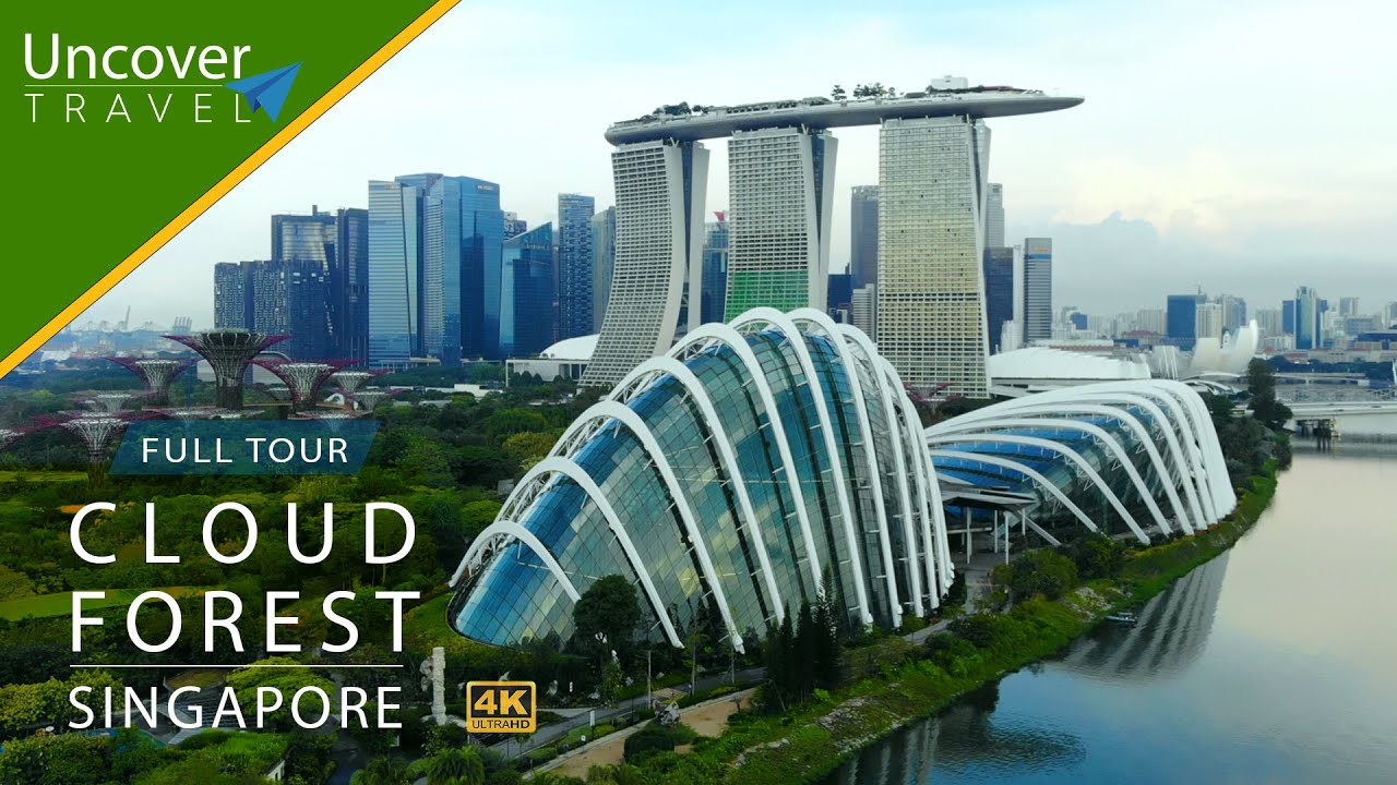 Could Forest | Singapore | Full tour - 4K