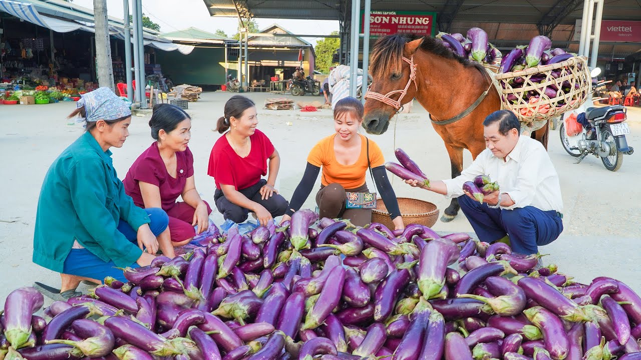 Use Horses To Harvest Many Eggplant To Bring Back To The Countryside Market To Sell... Ly Tieu Toan