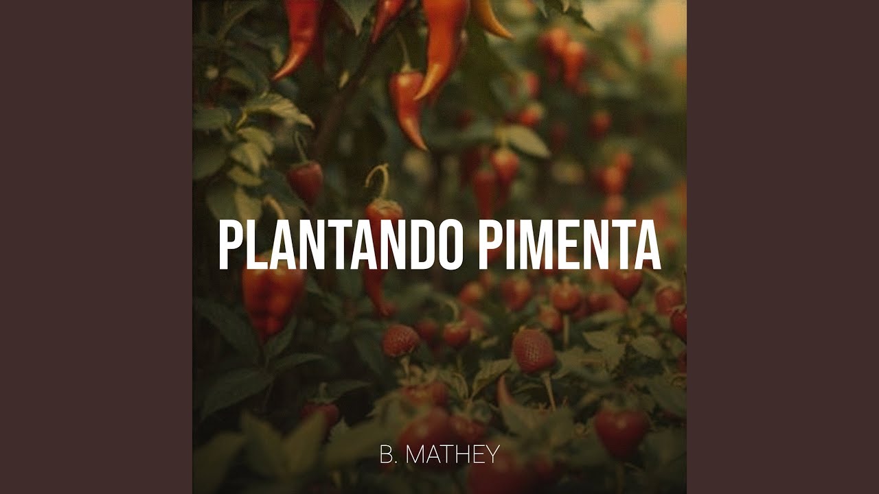 Plantando Pimenta