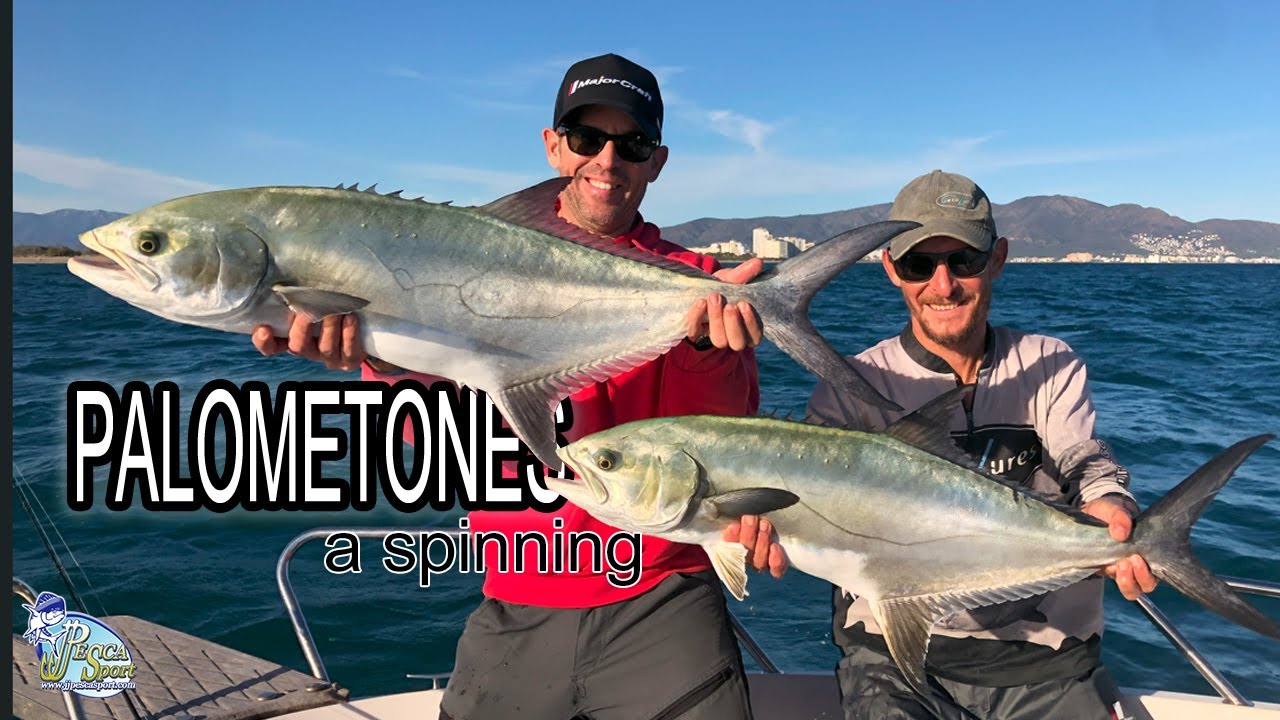 PALOMETONES a spinning