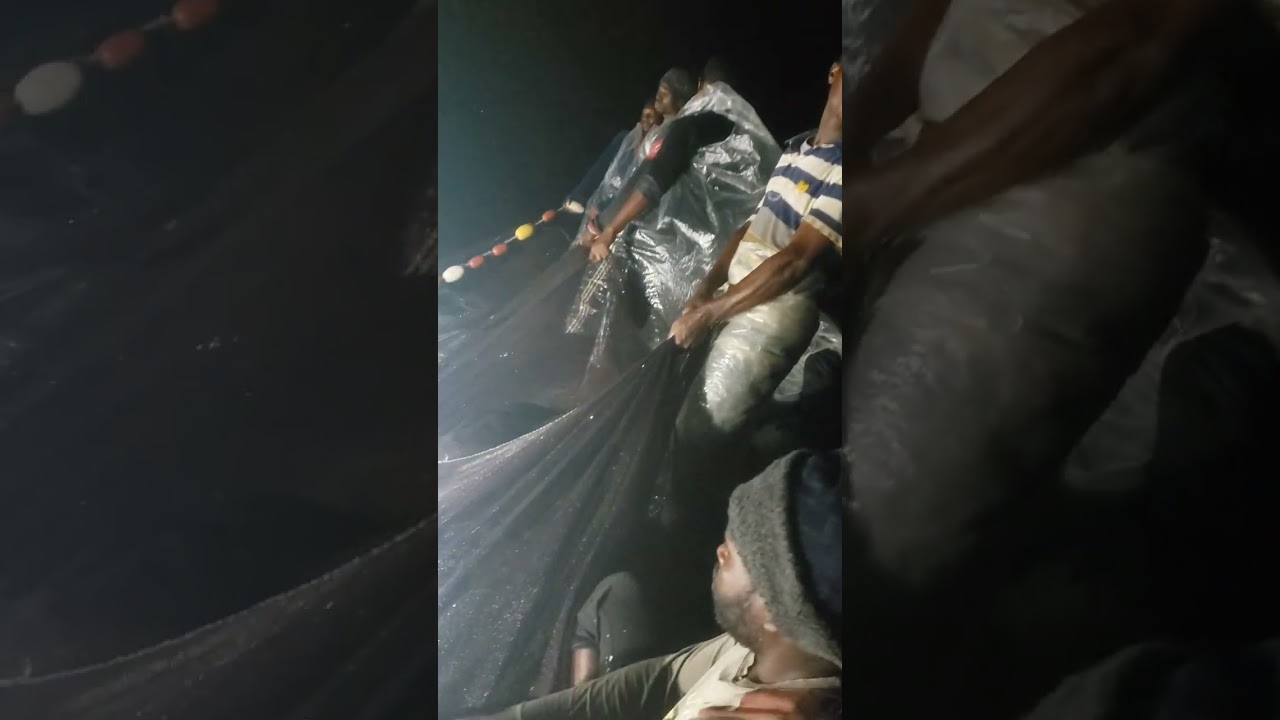 WAVUVI WA SAMAKI DAR ES SALAAMU KUNDUCHI