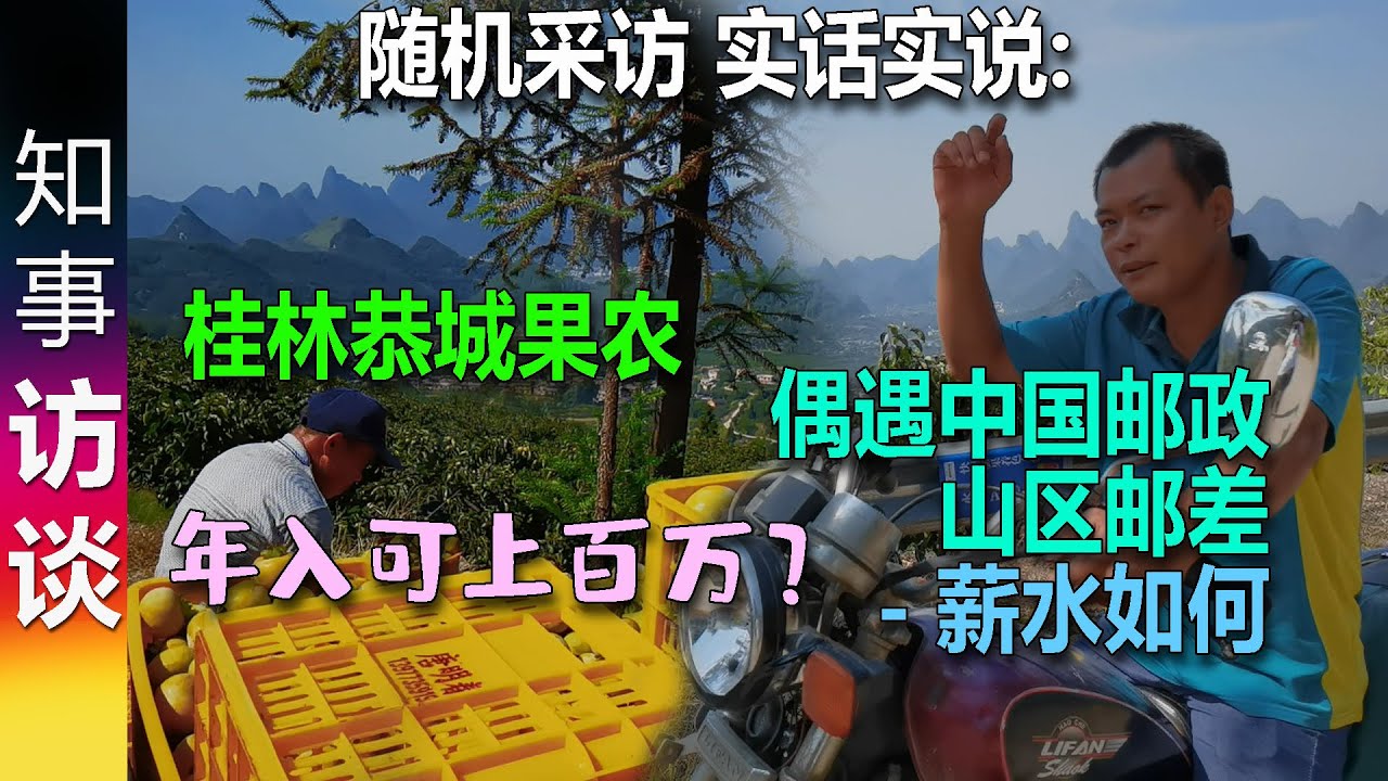 实话实说: 桂林恭城果农丰收 路边随机采访 年入最多可达百万？ | 偶遇中国邮政山区送信员 一个月薪水多少？
