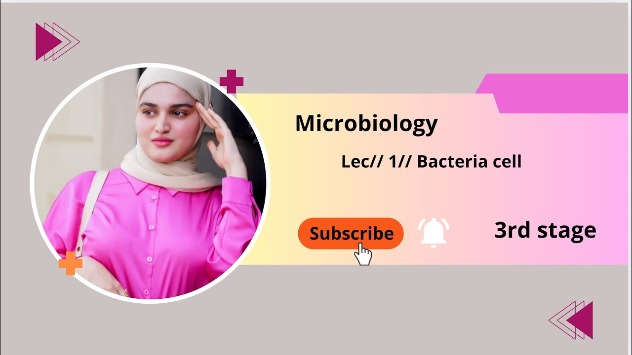 Microbiology// lec1// Bacteria cell  طب اسنان مرحلة ثالثة