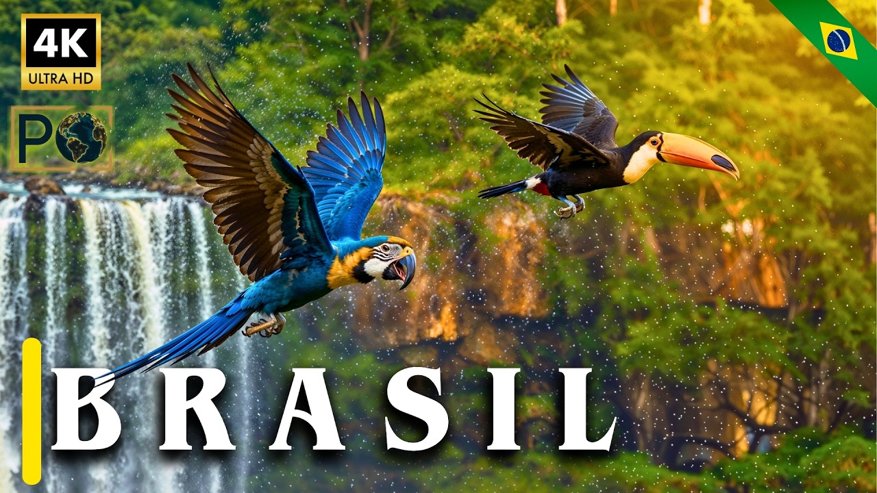 10 Maravilhas do BRASIL: Descubra o PAÍS Gigante pela própria NATUREZA - 4K
