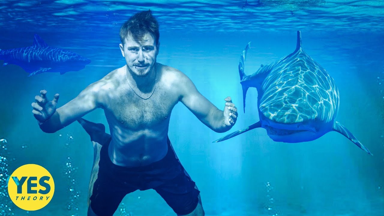 Swimming with the World&rsquo;s Deadliest Shark