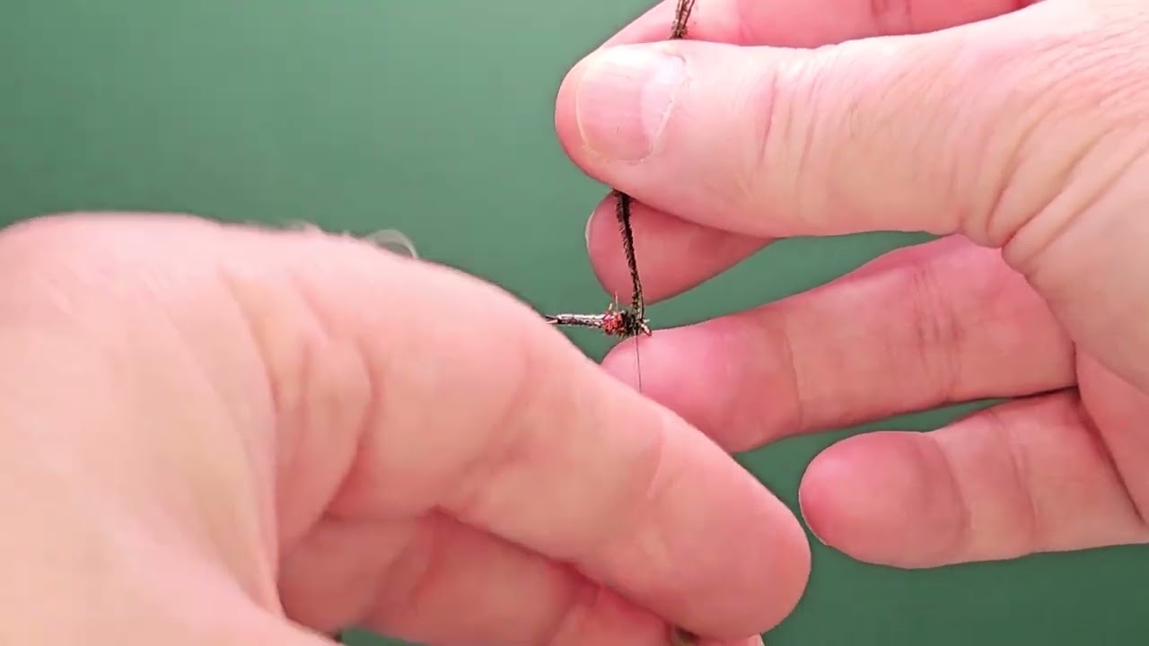 Quilled Black Cruncher - One Fly A Day