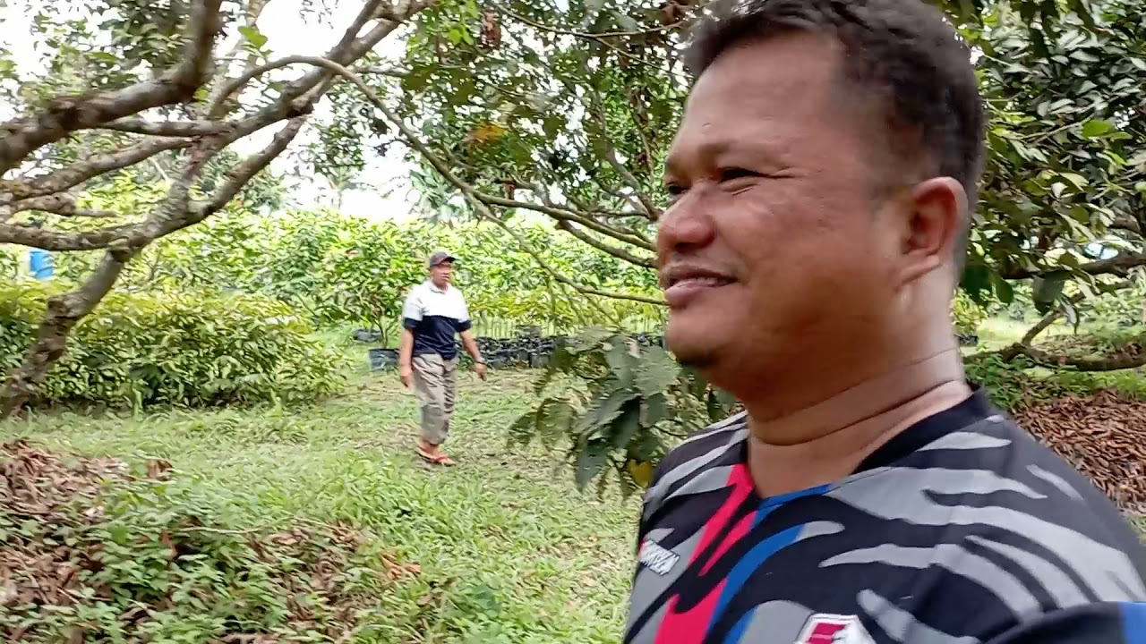 Jalan2 di Citra Kebun Market, Batam Sungai Lekop