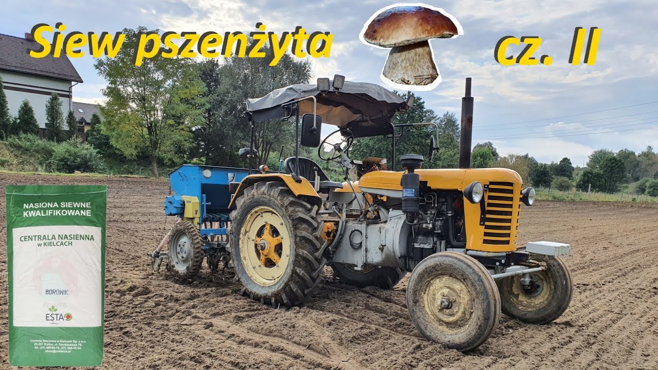 Siew pszenżyta Borowik 2020 Zetor 25330 + Poznaniak/Kutnowiak S068/1 2m || VLOG #24 ||