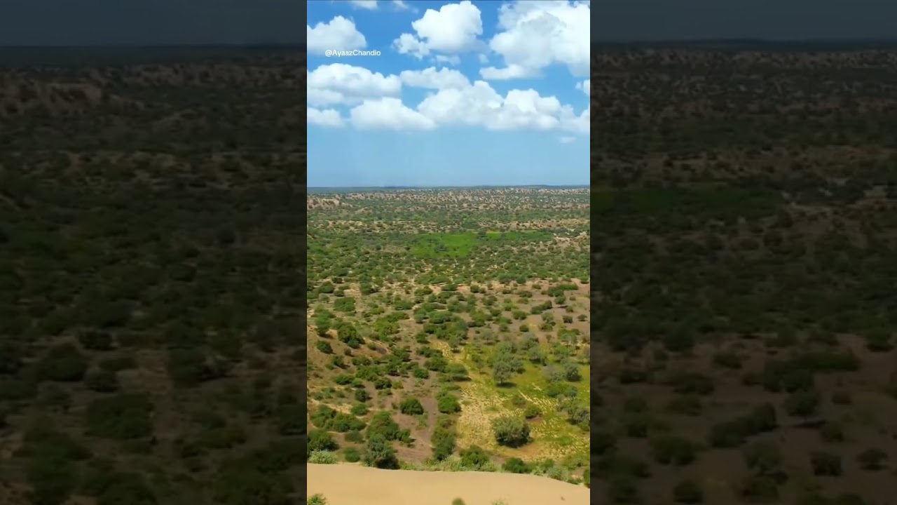 mera thar parkar #song #song #thar #meratharkarpar