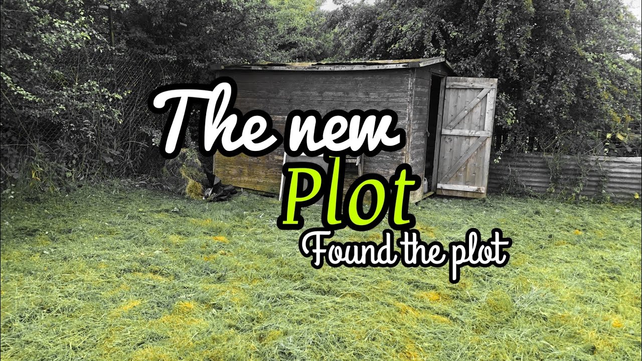 The New Plot
