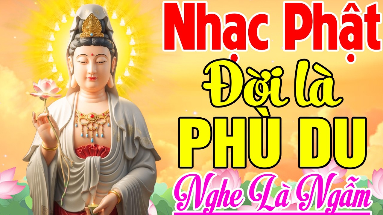ĐỜI LÀ PHÙ DU, QUAN ÂM CỨU KHỔ...LK Nhạc Phật Giáo Hay Nhất 2026 #Mở Nhẹ Nhàng May Mắn Bình An