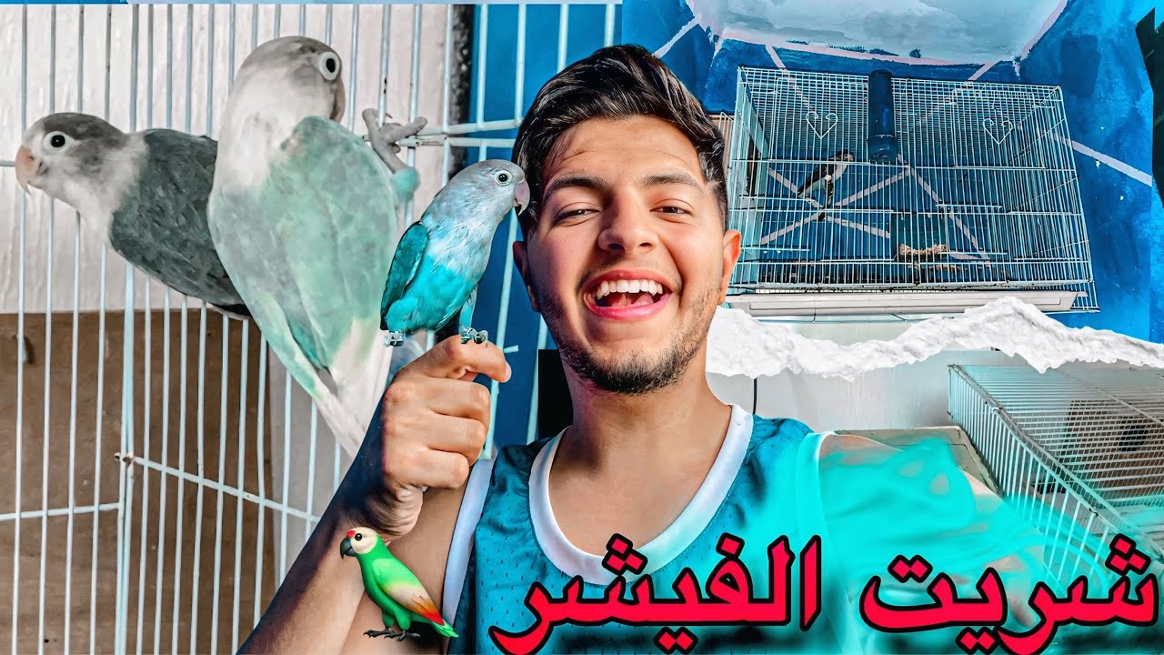 شريت زوج الفيشر و فرخ الفيشر 😍 مفاجأة أنثى الكوكتيل حطت بيضة 🥚 