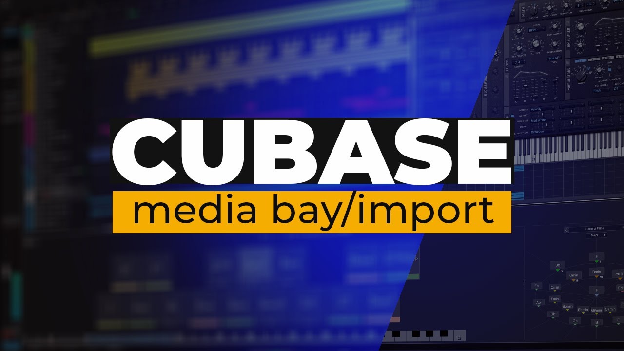 Учебное пособие по Cubase 13 Pro (Урок 5) – Импорт файлов. Media Bay