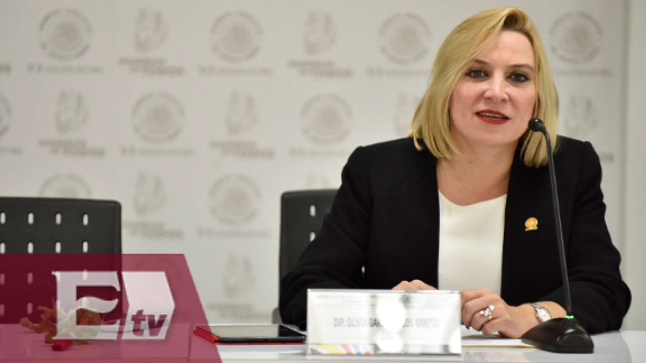 Entrevista a Olivia Garza de los Santos, Diputada del PAN / Vianey Esquinca