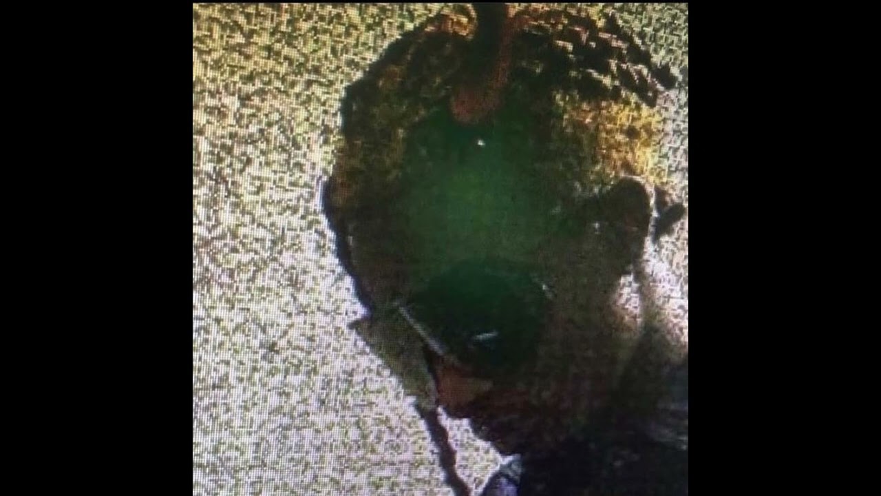 [FREE] *hard* playboi carti + wlr + f1lthy type beat 2023 