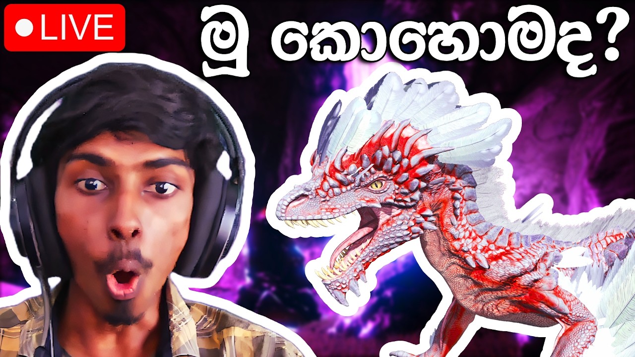 අපේ අලුත් සතා! Rock Drake tame here we go - Ark Primal Fear Sinhala | DR MaxWave Gaming
