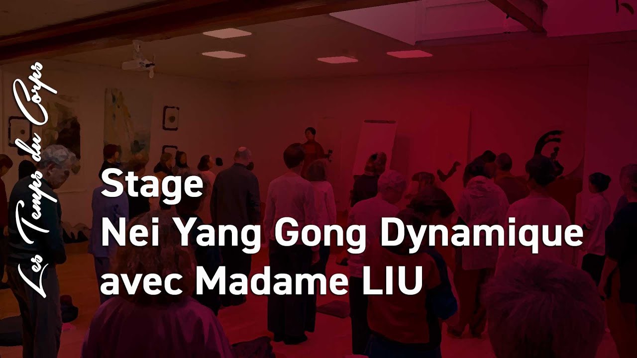 Extraits du stage  de Nei Yang Gong  dynamique avec Madame LIU  aux Temps du Corps (06/12/2019)
