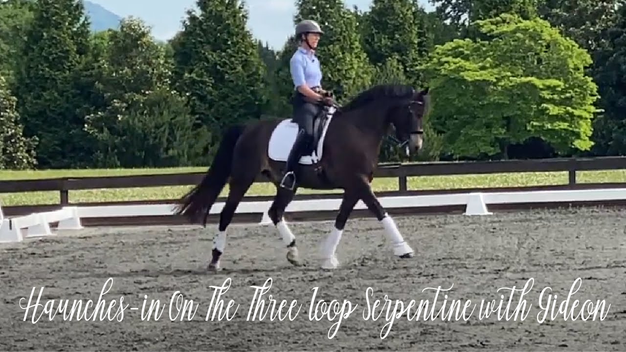 Haunches in On The Three Loop Serpentine with Gideon