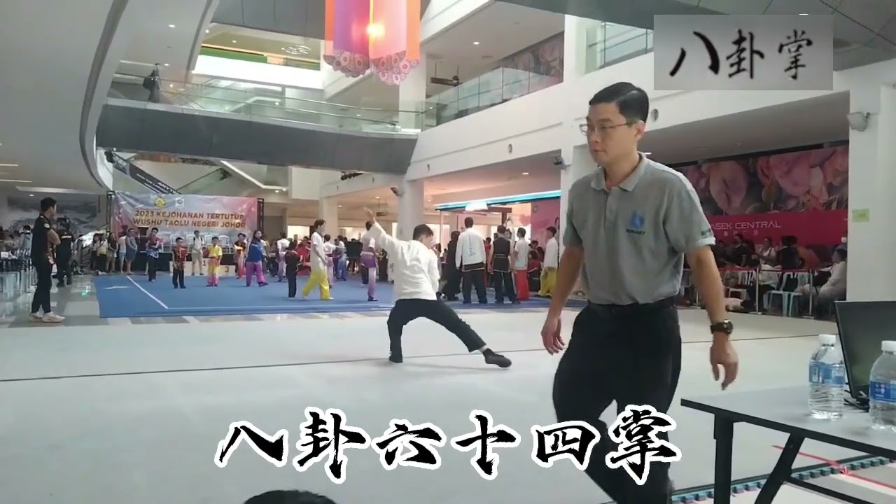 Baguazhang 64 palm   八卦掌64掌