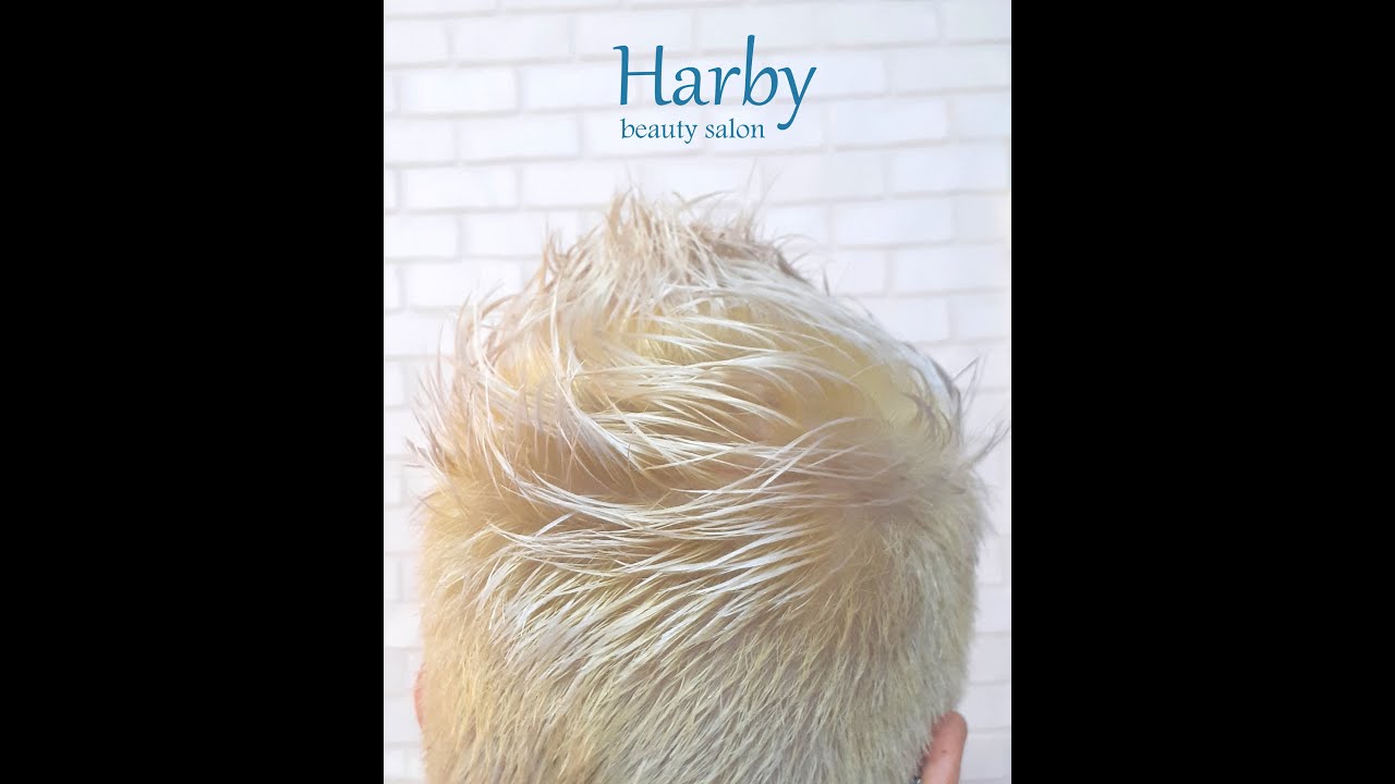 How to color Hair silver
