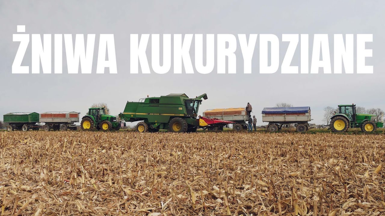 Żniwa Kukurydziane z John Deere | JD 2058 | JD 6620 | JD 7530 | Ursus C-385 | Podkarpacie