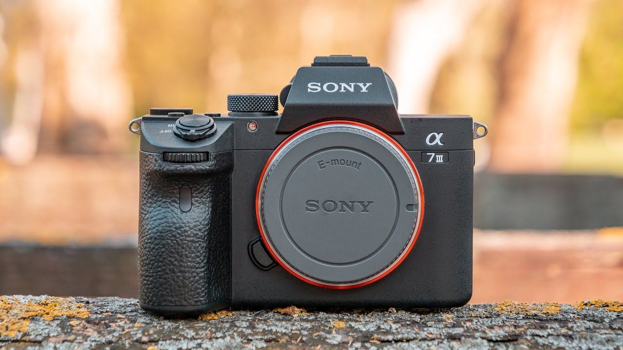 1 Year with Sony A7III - Long Term Review vs Z6 | X-T3 | S1