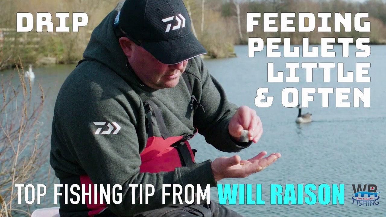 HOW TO Drip Feed Pellets Little & Often | Will Raison Top Fishing Tip