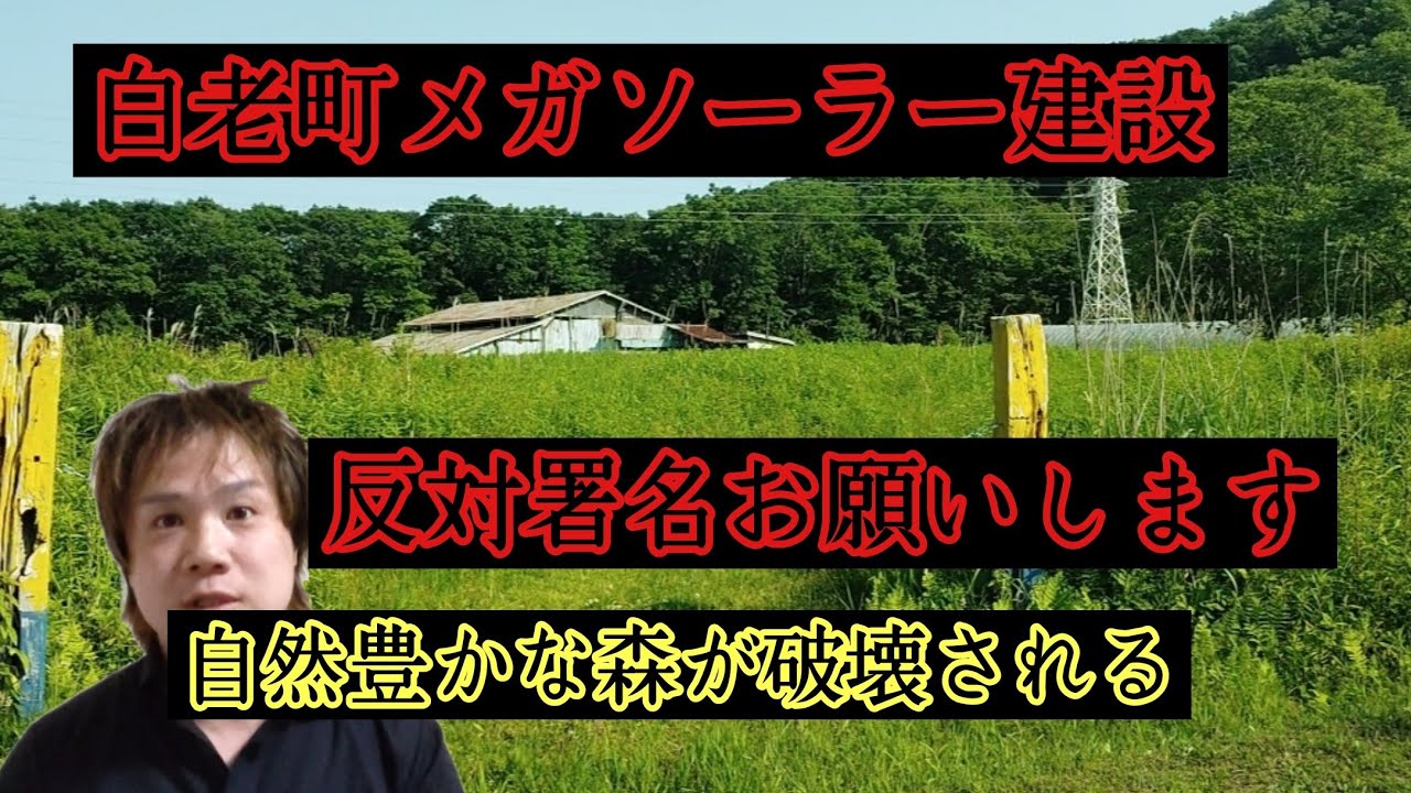 酷すぎる！白老町メガソーラー建設反対署名のお願い！現地観察！