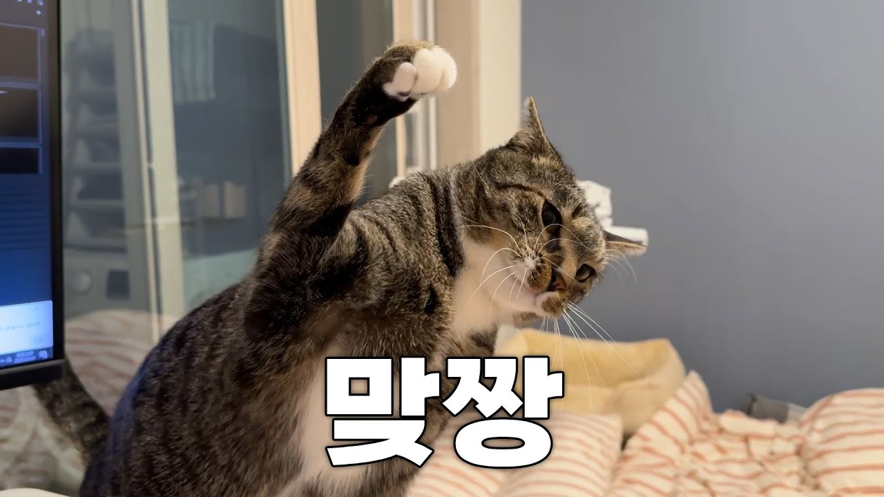 진짜로 맞짱 떴습니다...