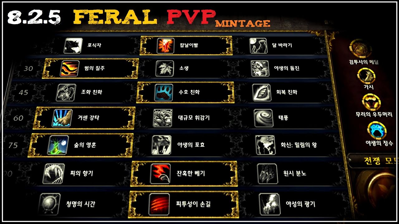 [BFA 8.2.5] Feral Druid PvP Mintage (야드, Zsw) - Pre 8.3