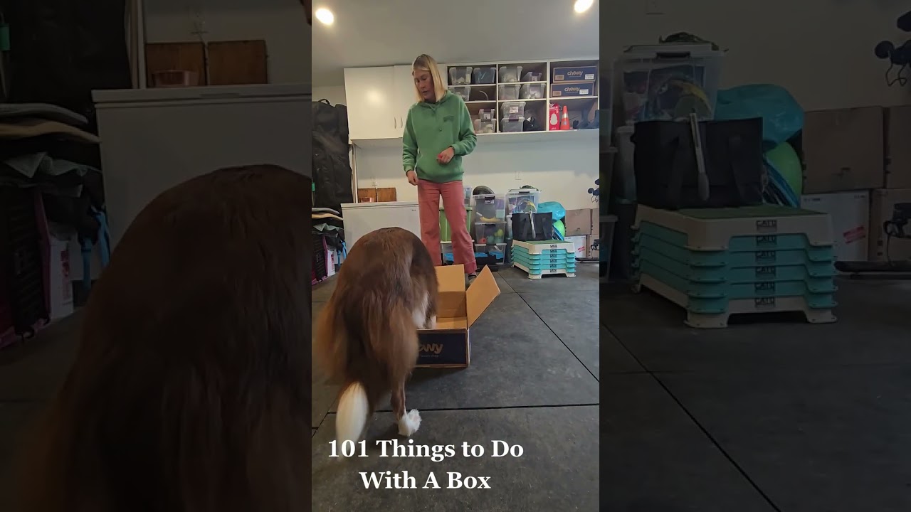 101 things with a box!
