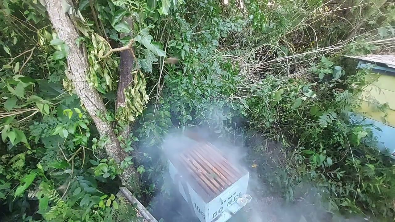 POR POUCO NÃO  PERDI TUDO !!