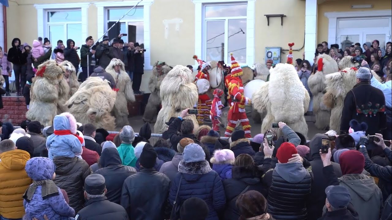 Ceata mare de ursi de la Udesti