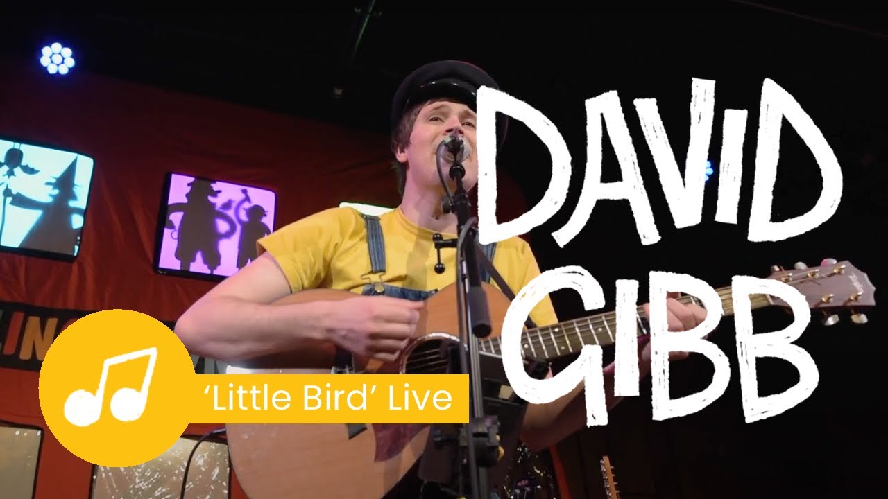 David Gibb - LIttle Bird (live)