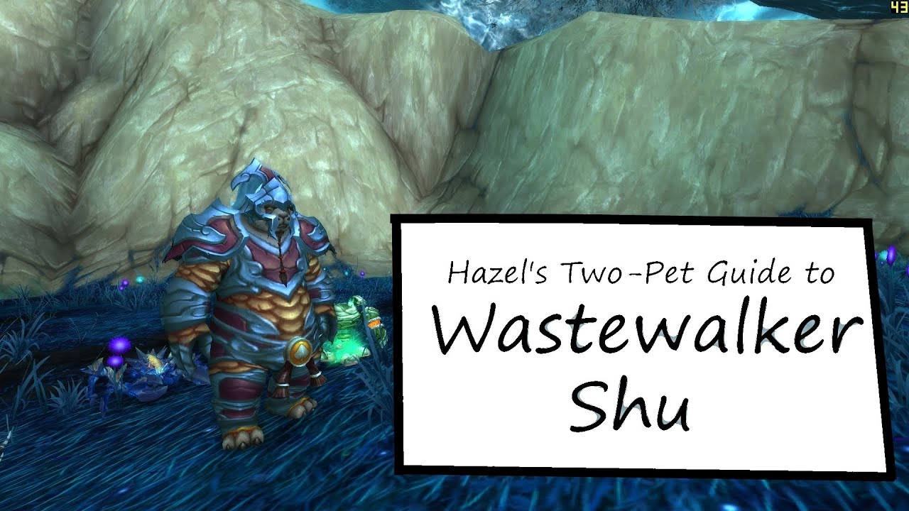 Wastewalker Shu: WoW Pet Battle Powerlevel Guide