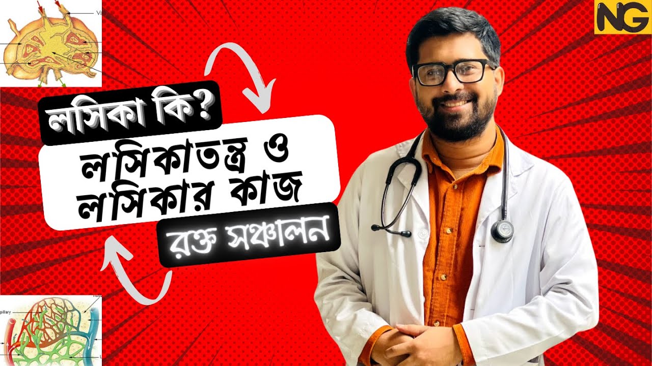 লসিকা কি? লসিকাতন্ত্র ও লসিকার কাজ | রক্ত সঞ্চালন | Blood & Circulation | HSC Biology