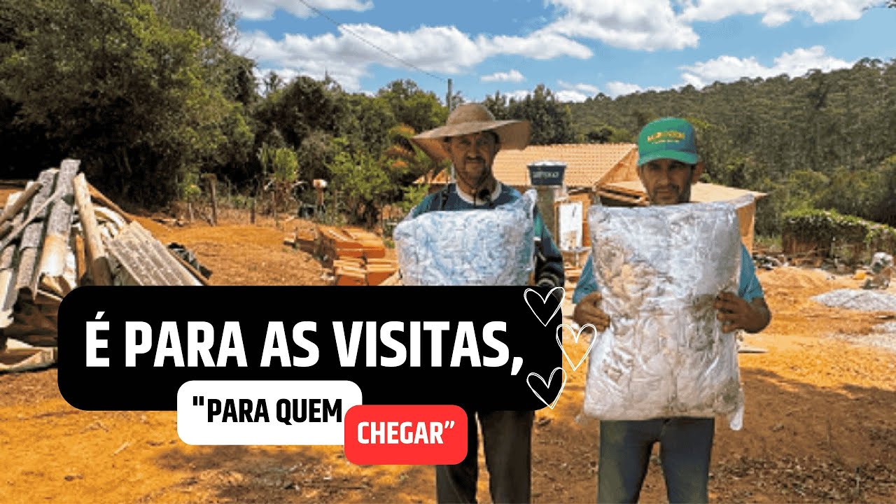 A HILÁRIA DISPUTA PELO EDREDOM DE PRESENTE!