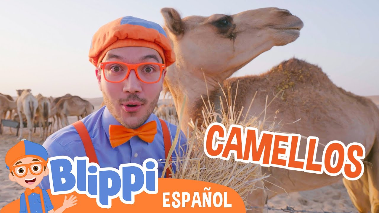 Blippi visita camellos en el desierto 🐪 Blippi Español | Videos educativos para niños | Aprende