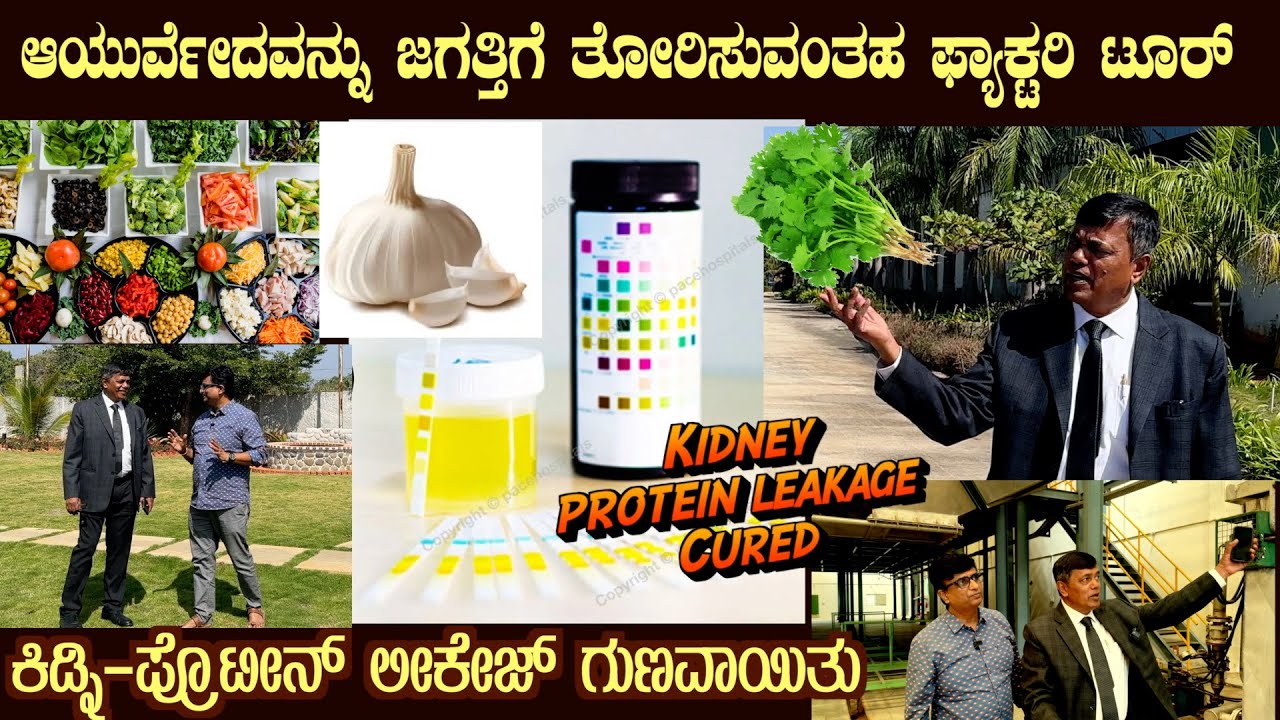 Mega KIDNEY - PROTEIN LEAKAGE Cure ( SUBTITLES) Miracle Drinks Factory video with Dr S M Raju
