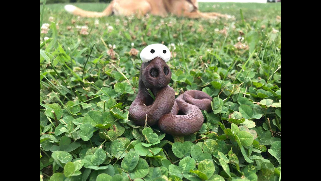Poo Snake -16 AUG 2021