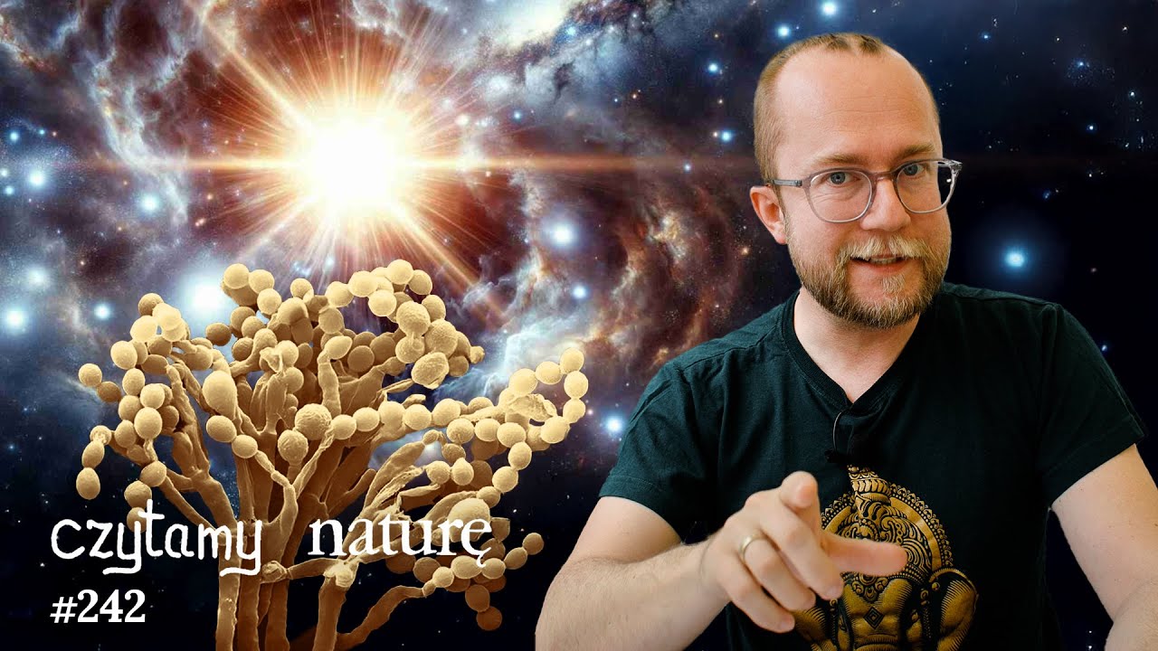 Mamy to! Pierwsze gwiazdy w Kosmosie - Grzybnia pełznie - Płeć i słabnięcie umysłu | CN #242