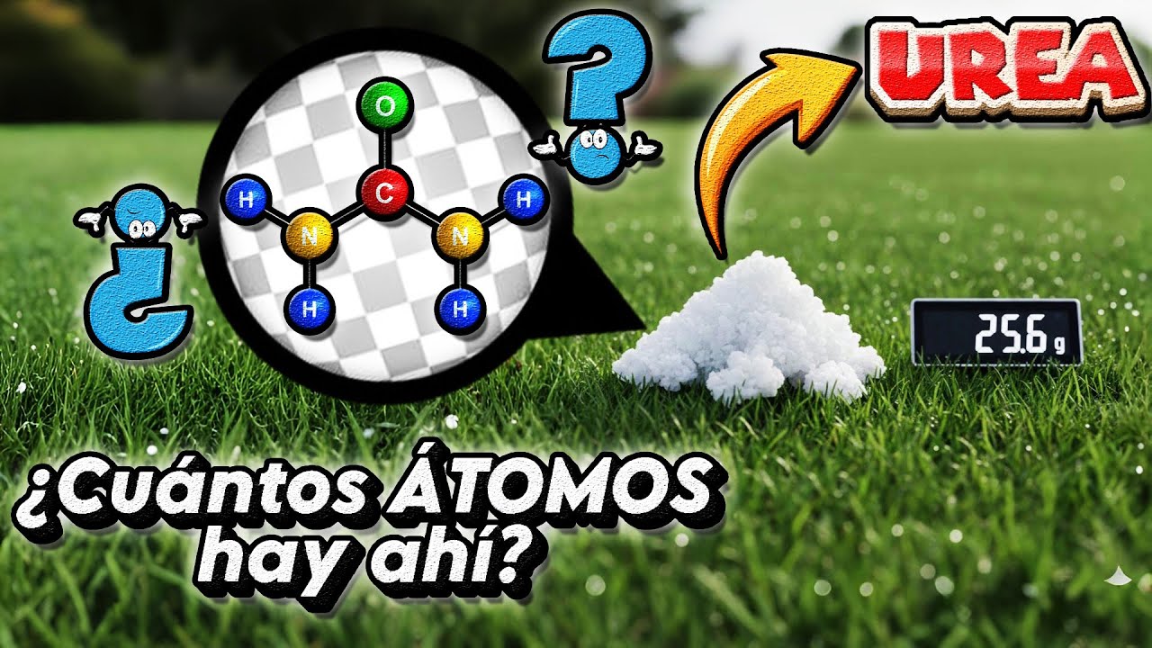 Contando los ÁTOMOS de la UREA Uno por Uno | Estequiometría