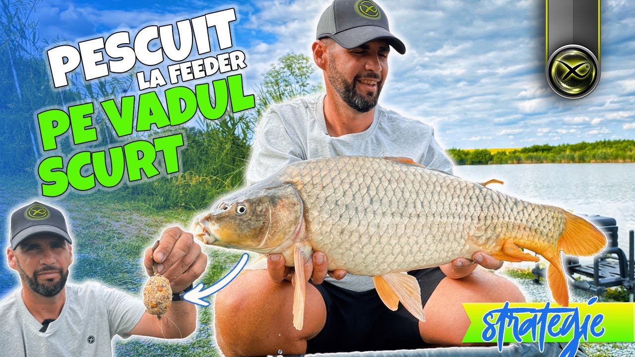 Pescuit la feeder | Cand pestii vin pe nada | Lacul Nucetu
