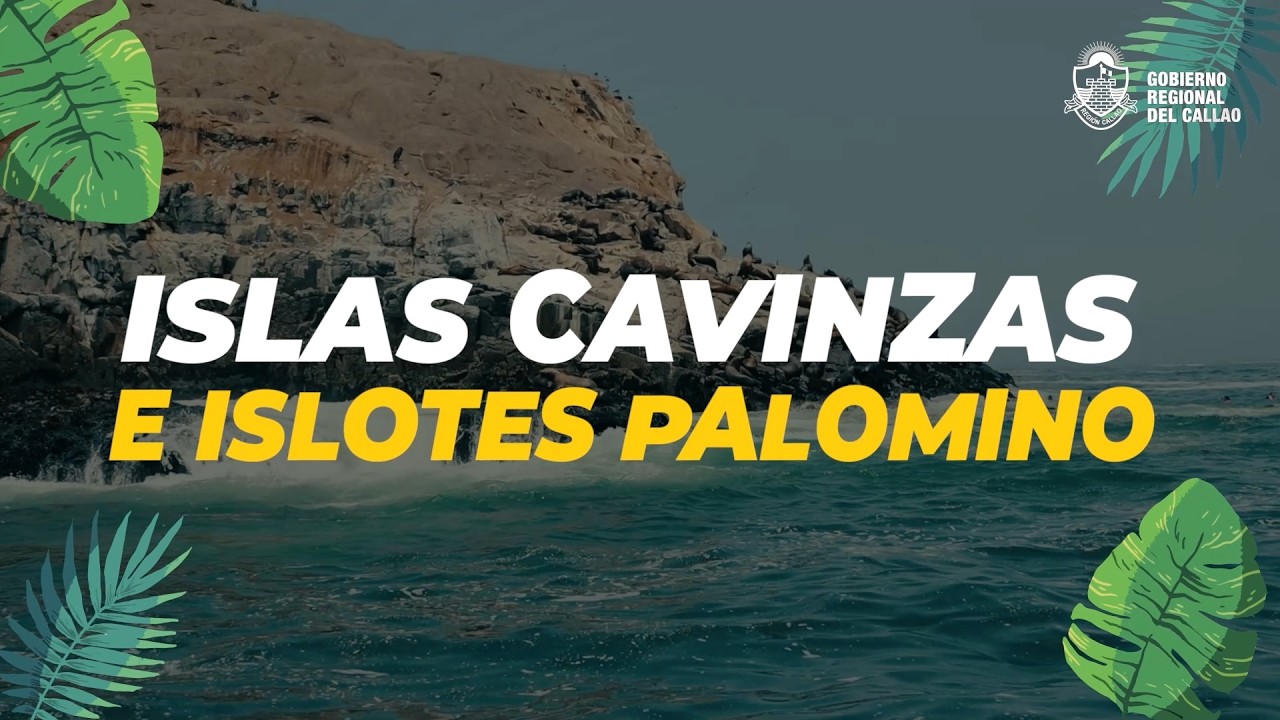 🔴 #EnVivo | SOMOS PUERTO – Episodio 1 Temp. 2 🌊