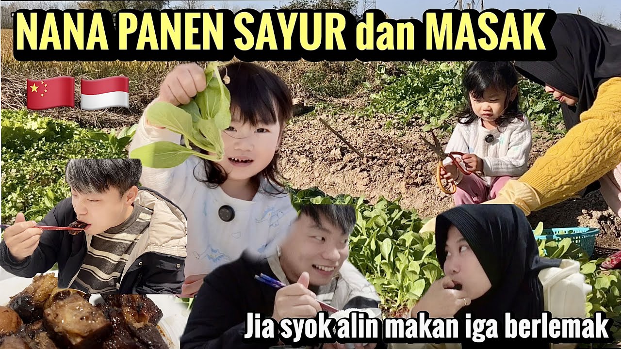 PANEN SAYUR BARENG NANA LALU MAKAN MALAM SM IGA TERYATA JIA TAKUT MAKAN LEMAK DAGING IGA NYA